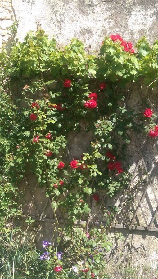 Vingt Grand Rue Bed & Breakfast Champagne-Mouton Dış mekan fotoğraf